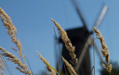Voedingsgewoonten in Nederland: Trends en ontwikkelingen